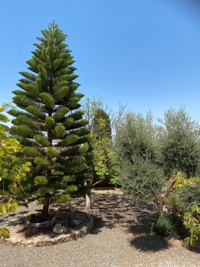 B&B Casa Oceo - Malaga - Andalusie Alhaurin de la Torre Ngoại thất bức ảnh
