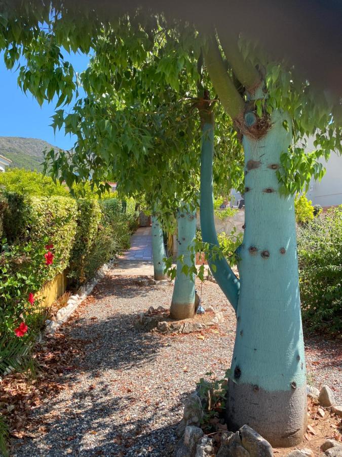 B&B Casa Oceo - Malaga - Andalusie Alhaurin de la Torre Ngoại thất bức ảnh